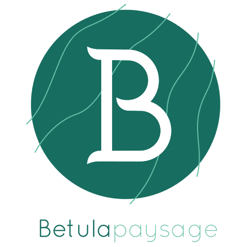 BETULA PAYSAGE & PISCINE